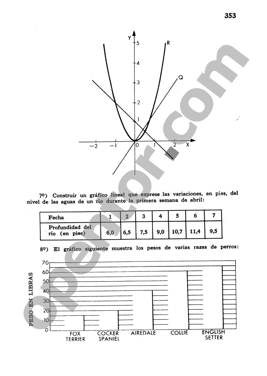 Álgebra de Mancil 1 - Página 353